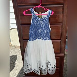 Blue and White Lace Dress